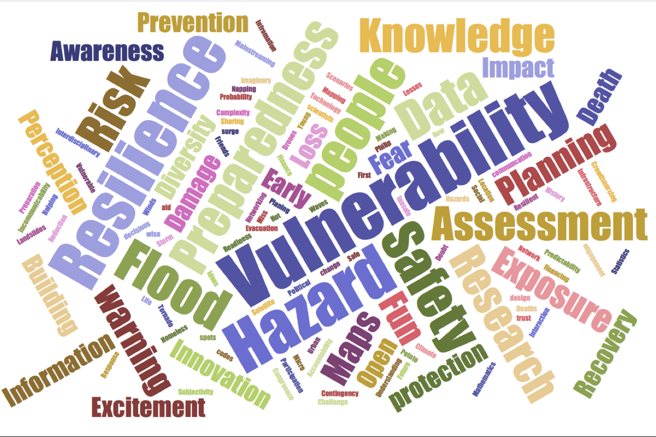 What Comes To Mind…when We Think About “understanding Risk”. Pablo Suarez Led An Interactive Session To Gather Insights About What “understanding Risk” Means To The Community.