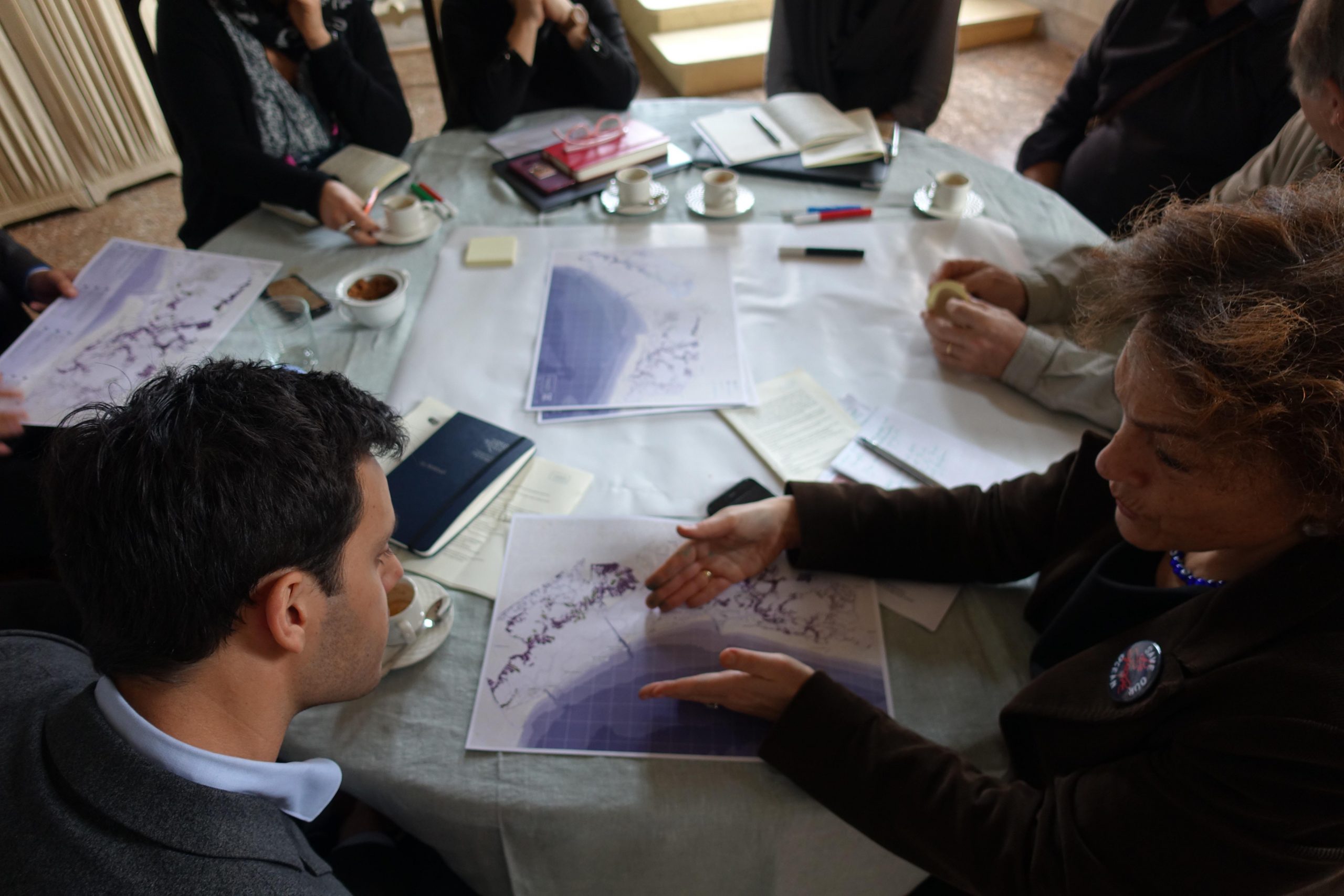 Le Barene Di Venezia Come Carbon Sink: Workshop Collaborativo Gennaio 2020
